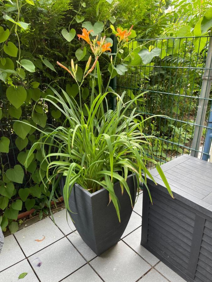 Sonnige Wohnung Im Zentrum Mit Terrasse U Tiefgarage - Netflix & Prime Лайпциг Екстериор снимка